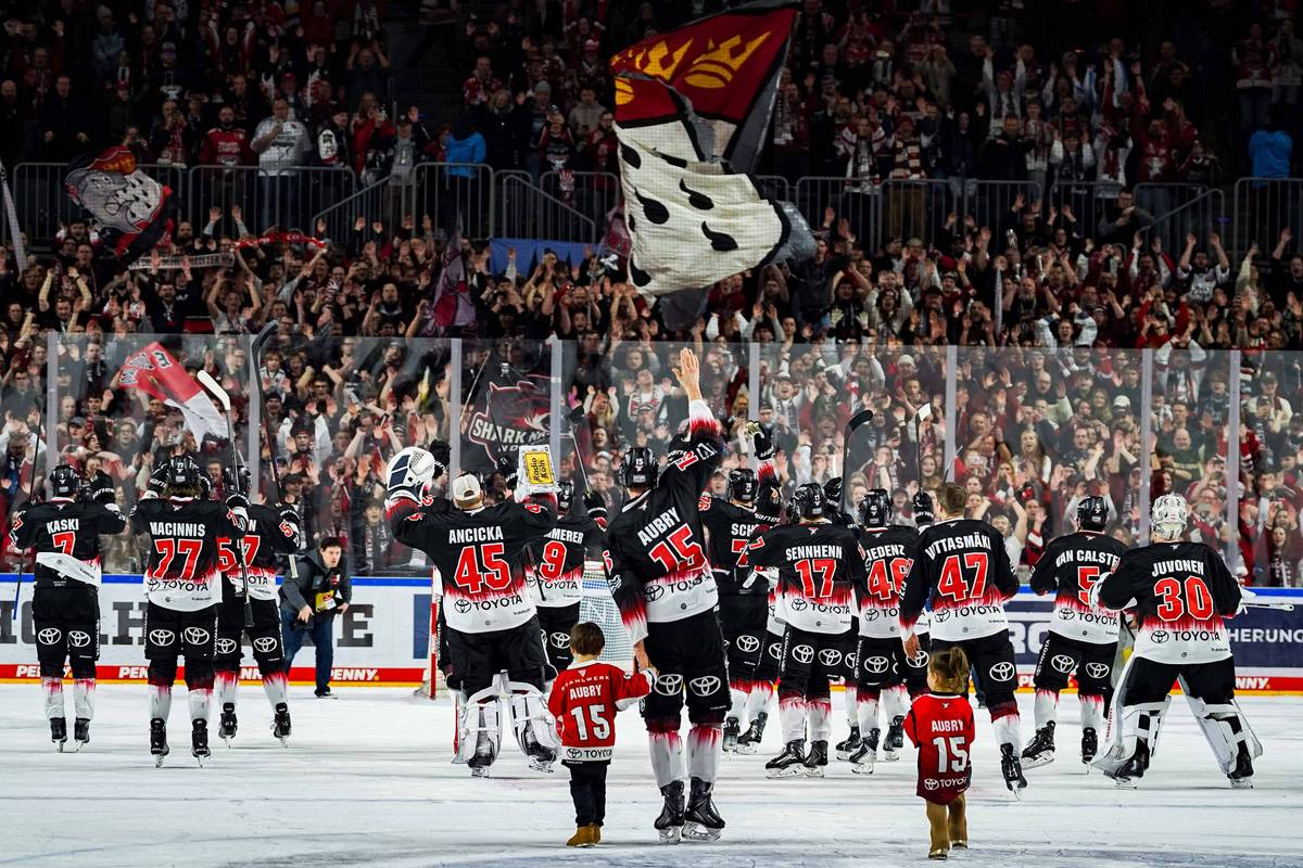 Da ist der Rekord! "Köln schreibt DEL-Geschichte"