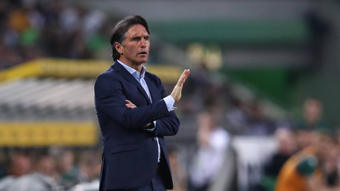 Labbadia: Keine Rücksicht auf HSV