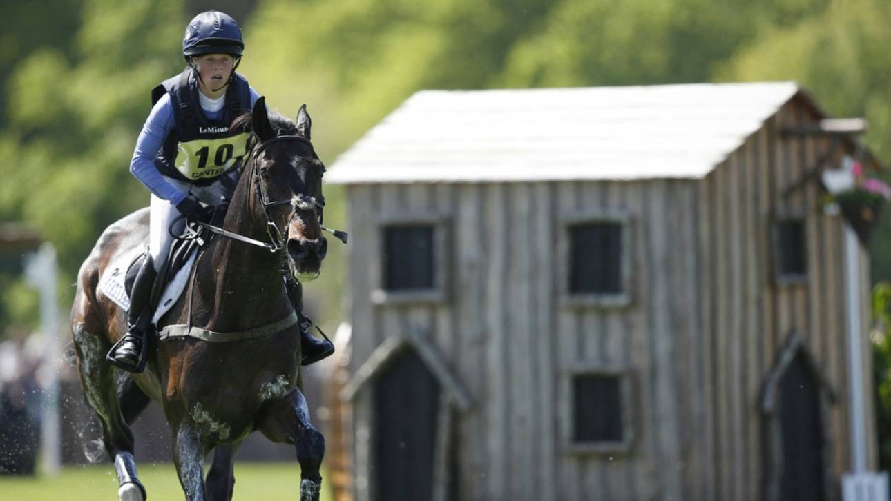 PETA fordert Abschaffung des Reitsports