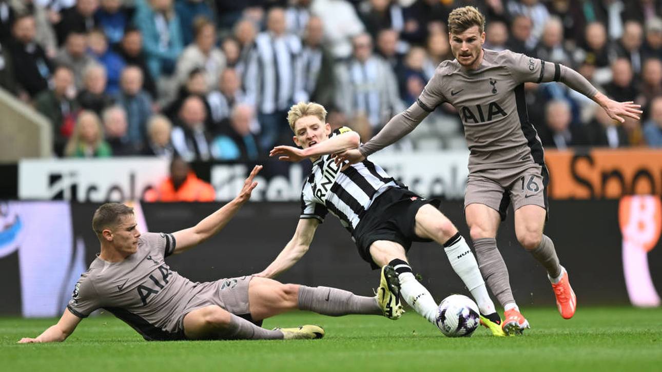 Werner und Co. gehen baden