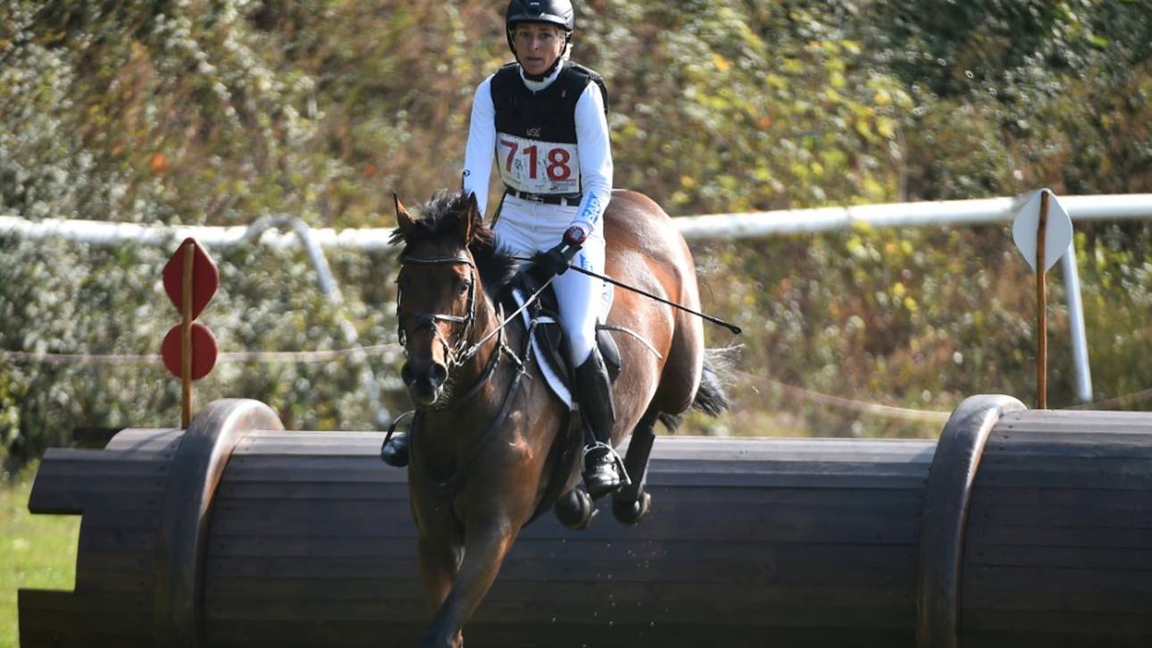 Aachen am Rande: Willberry Wonder Pony