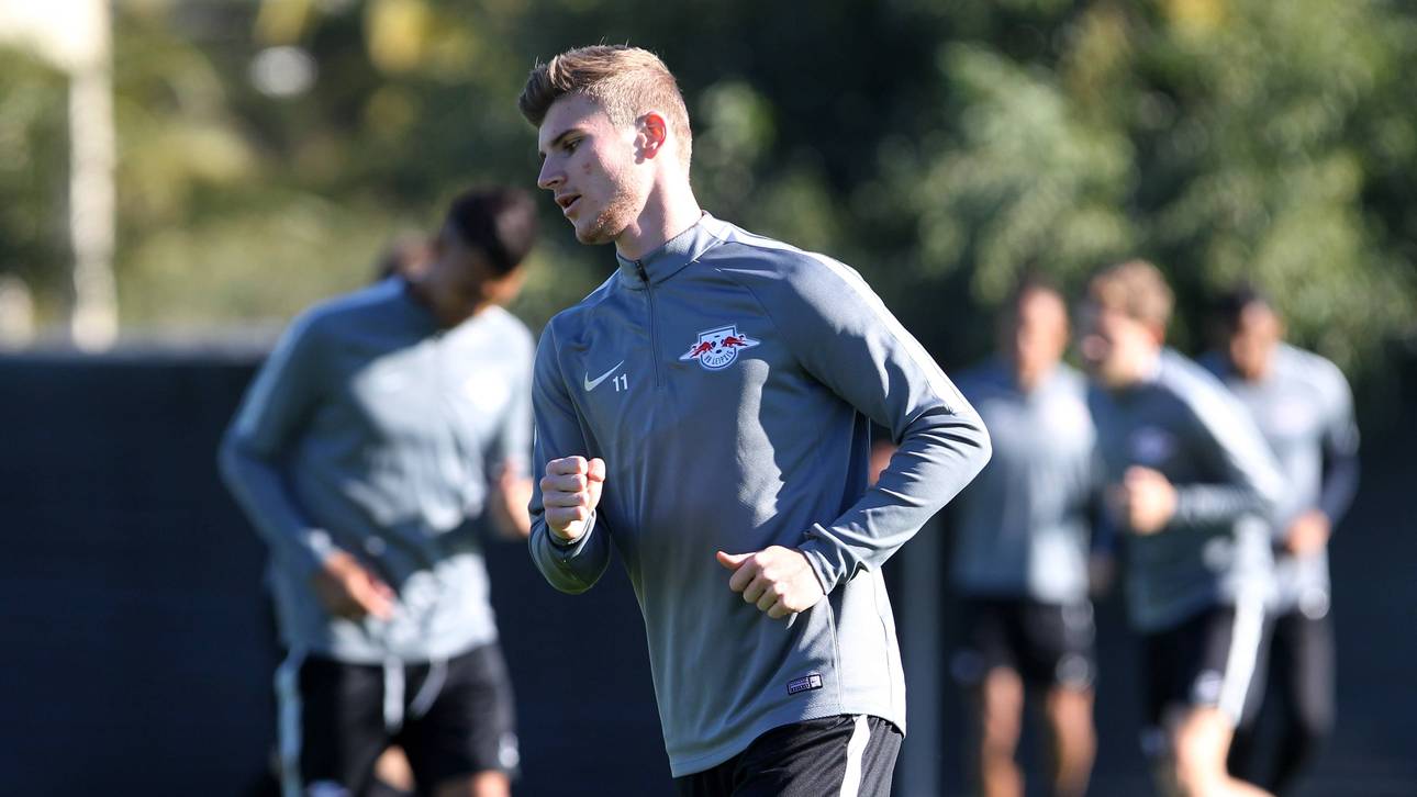 Verletzter Werner läuft wieder