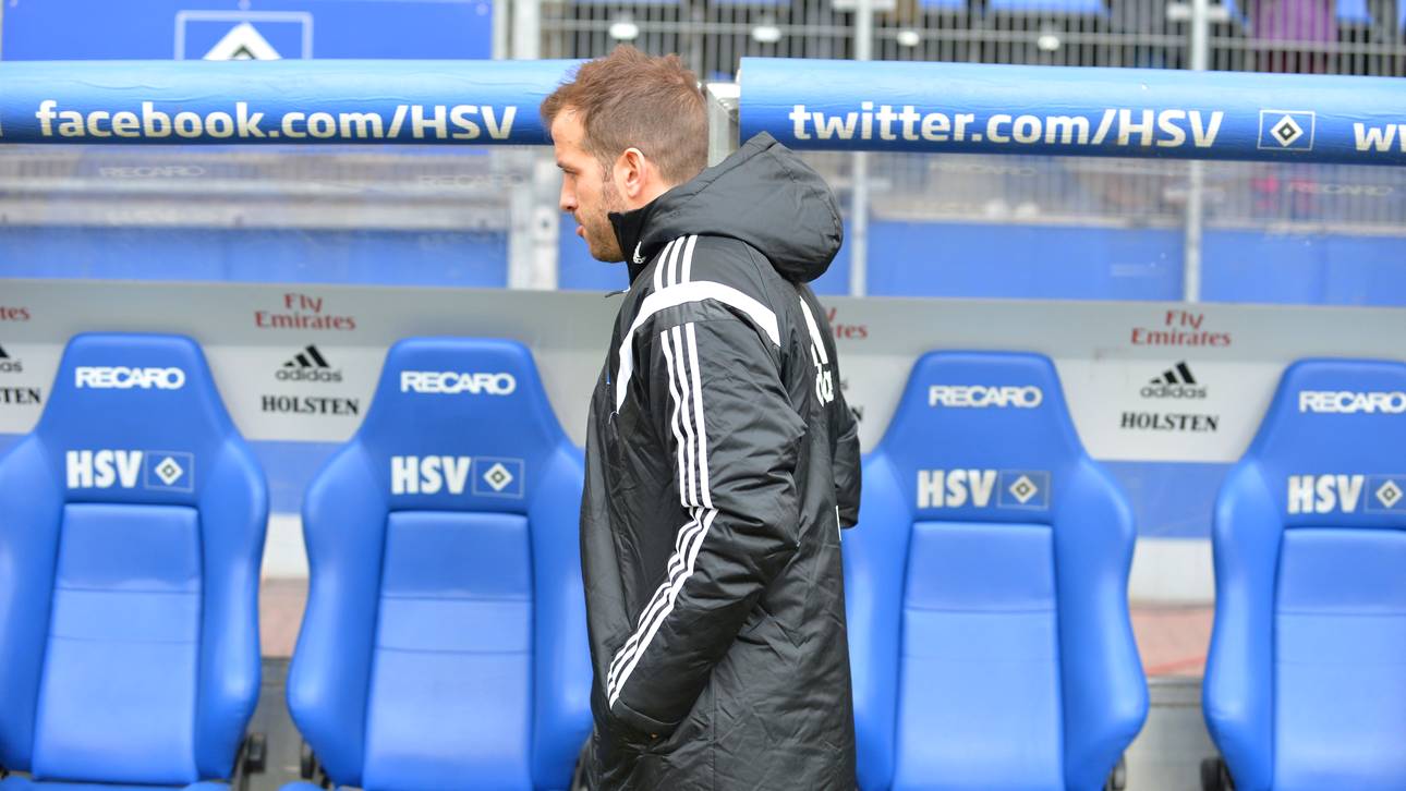 HSV ohne van der Vaart