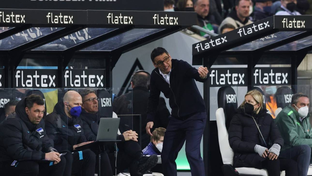 Korkut: „Keiner steht über dem Verein“