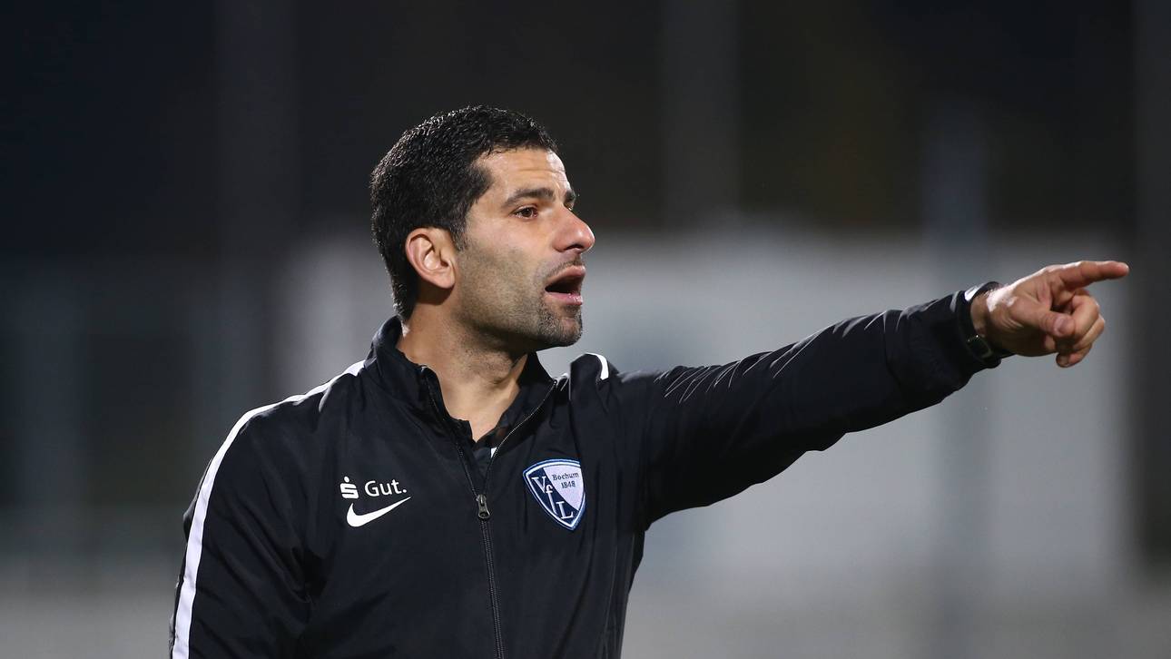 Ex-HSV-Profi wird Darmstadt-Trainer