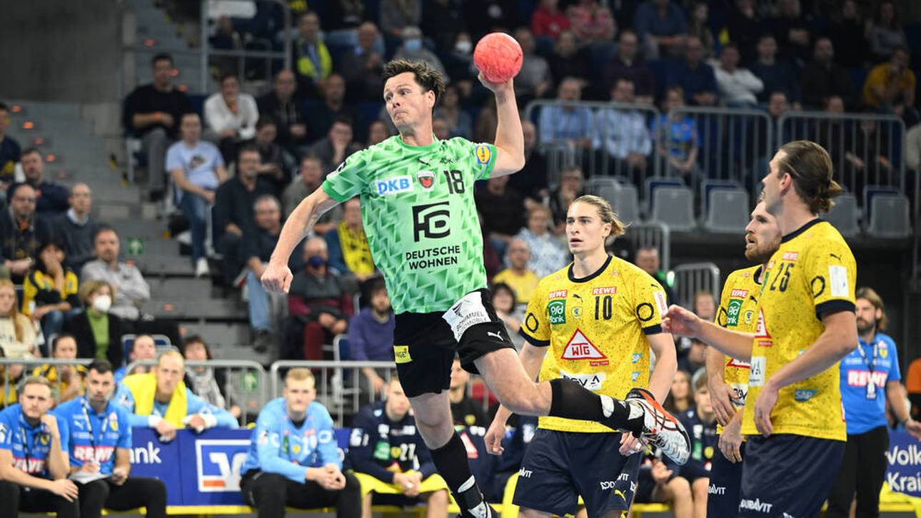 Füchse zeigen Löwen die Grenze auf