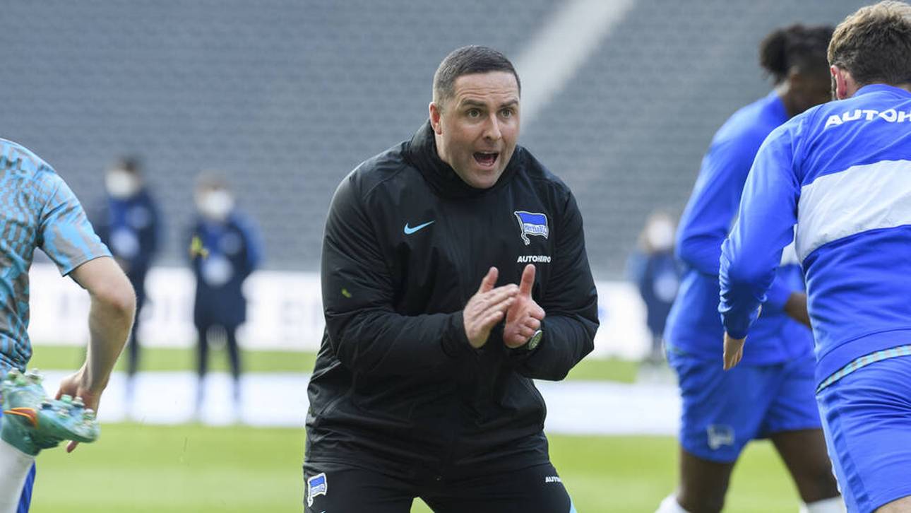 Die Bundesliga hat eine neue Kultfigur