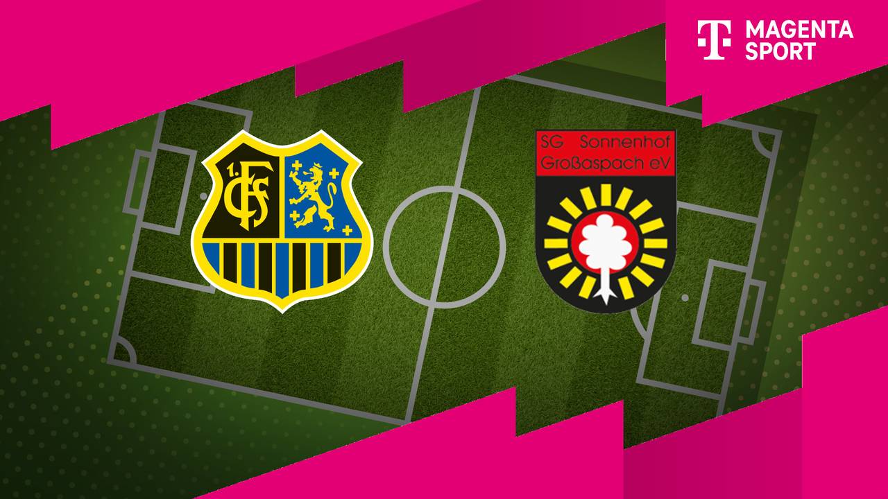 1. FC Saarbrücken - Sonnenhof Großaspach (Highlights)