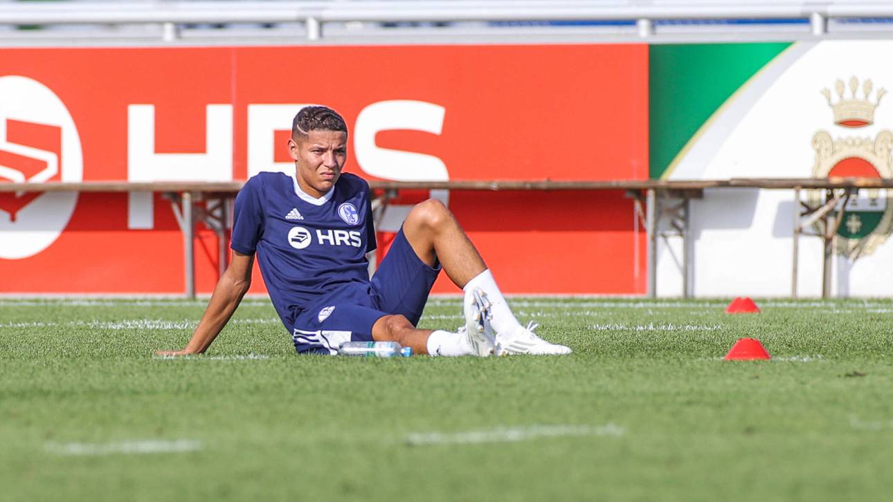 Die Wahrheit hinter dem Harit-Deal