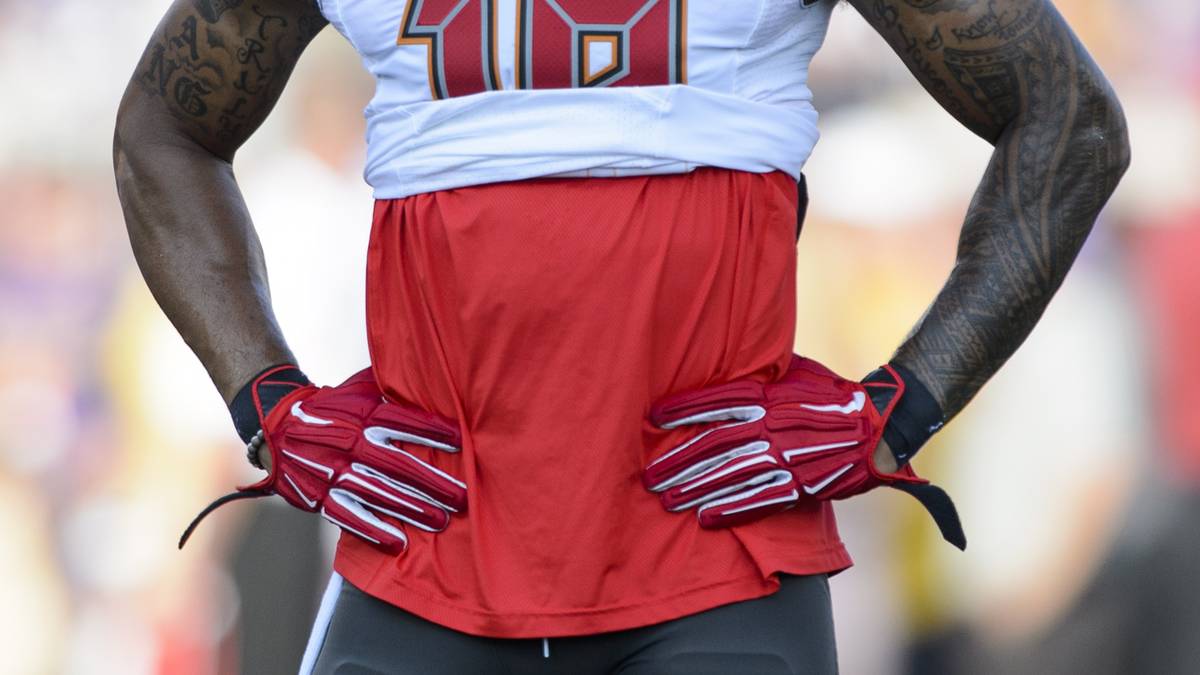 LOUIS MURPHY (Receiver): Bis zur vergangenen Saison spielte der 29-Jährige noch in der NFL - zuletzt für Tampa Bay. In Floridas Meisterteam war er neben Hernandez der beste Passfänger. 2006 bekam er für Marihuana-Besitz Sozialstunden, 2011 wurde er wegen Verstoß gegen das Betäubungsmittelgesetz und Widerstand gegen die Verhaftung angeklagt