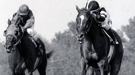 Alydar (l.) war eine Ikone des US-amerikanischen Pferderennsports