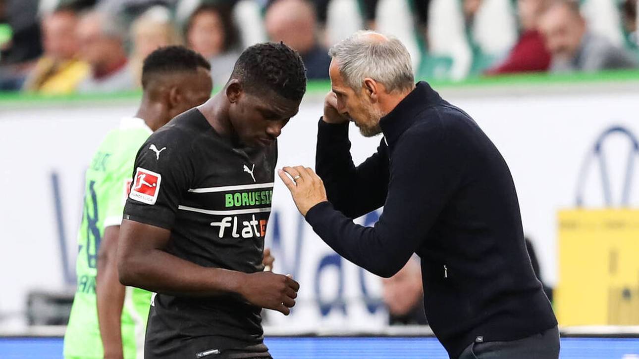 So entwickelte Hütter die Büffelherde