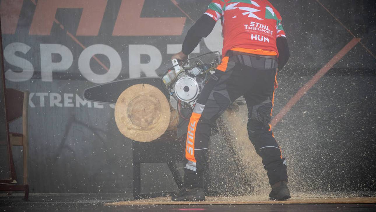 STIHL Timbersports LIVE: Team-WM 2026 aus Stuttgart