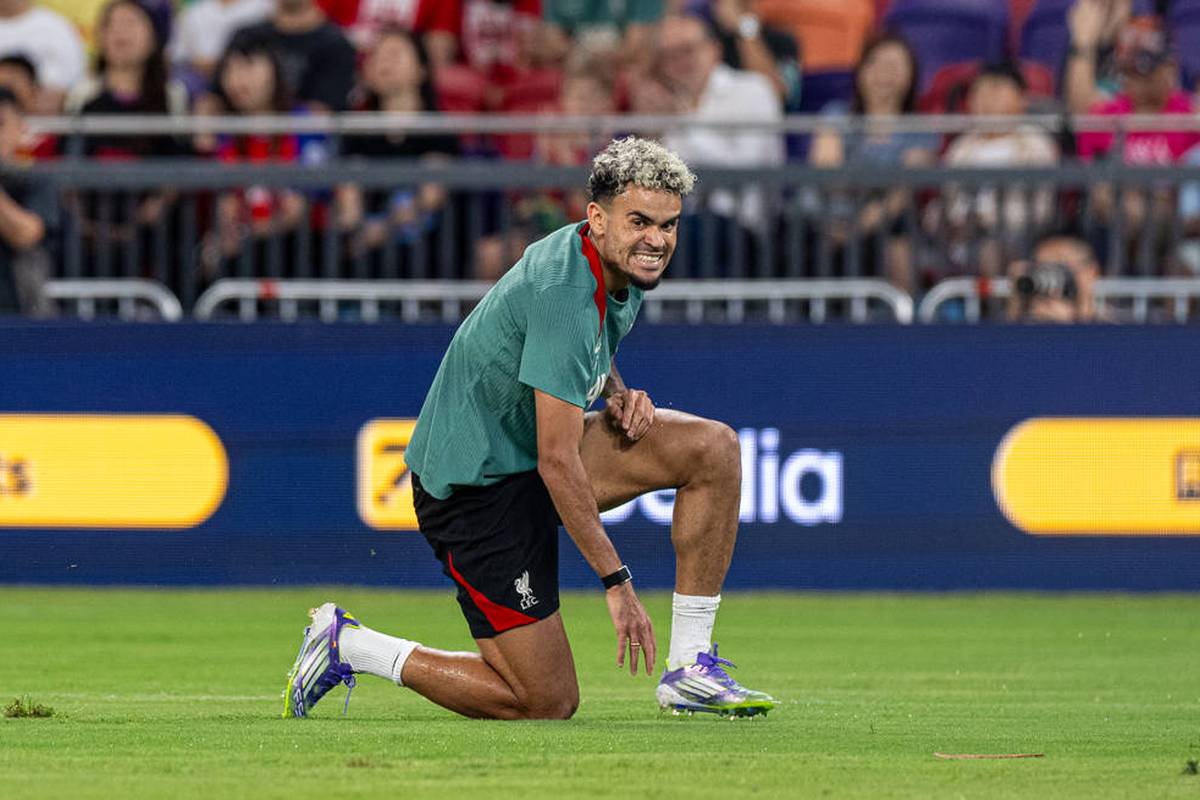 Neue Details! Das ist der Díaz-Plan bei Bayern