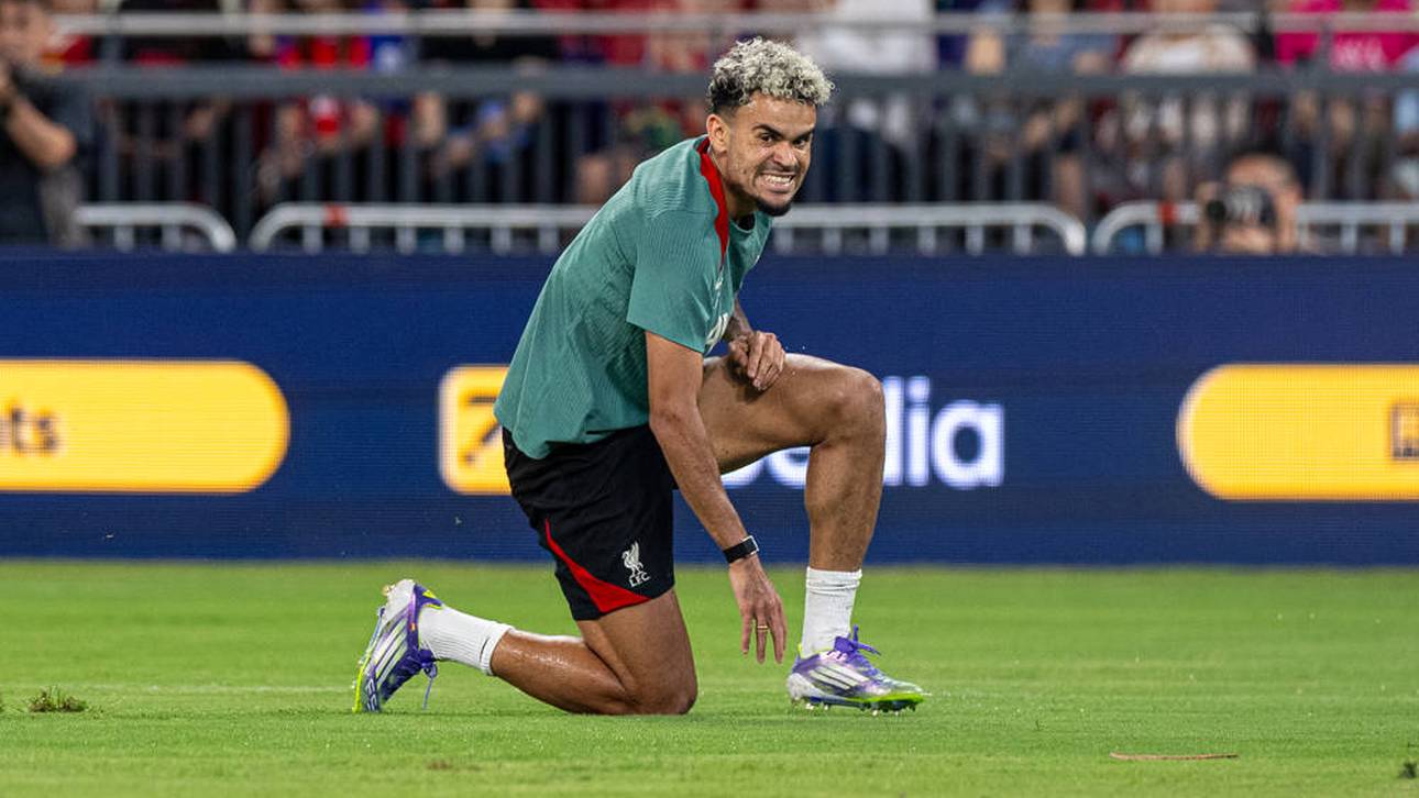 Das ist der Díaz-Plan bei Bayern