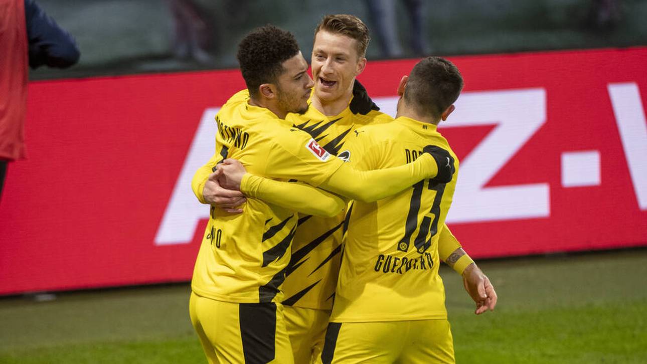 Kehl: Darum blüht Sancho wieder auf