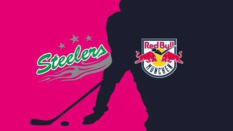 Bietigheim Steelers - EHC Red Bull München: Tore und Highlights | PENNY DEL