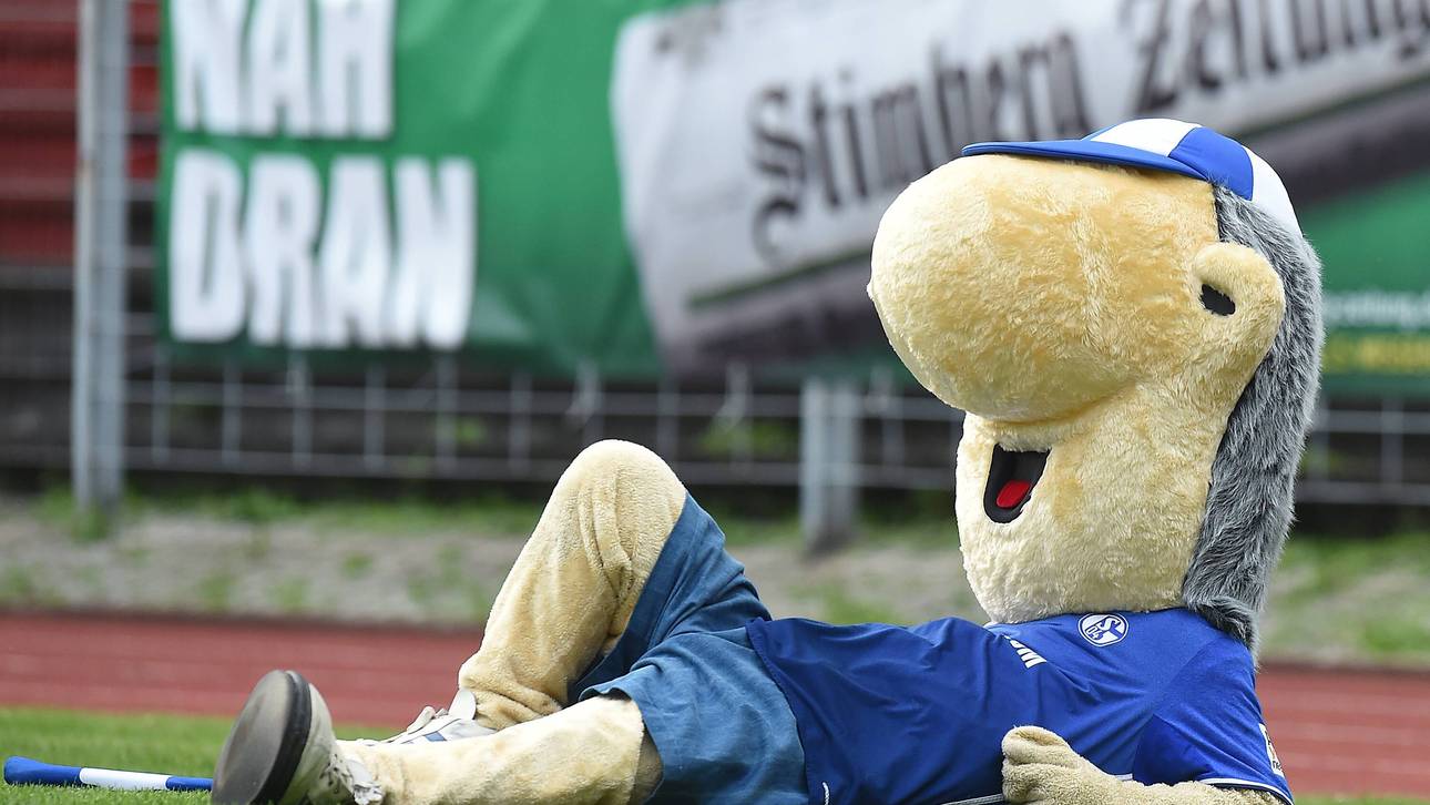 Schalkes Maskottchen im neuen Look
