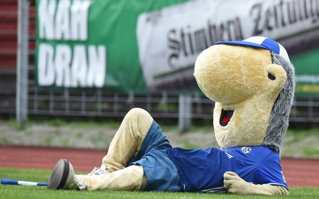 Fc Schalke 04 Maskottchen Erwin Nach Sommerpause Mit Neuem Look