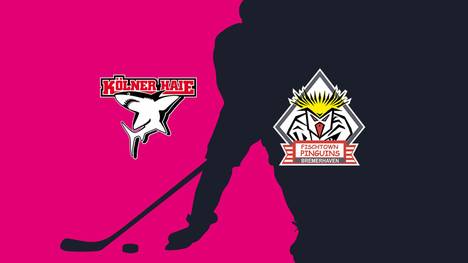 Kölner Haie - Pinguins Bremerhaven: Tore und Highlights | PENNY DEL