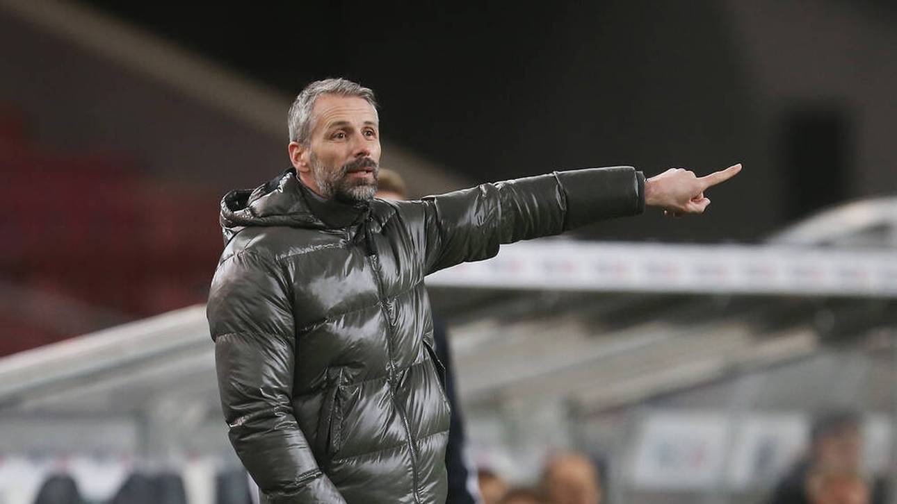 Rose mit Mega-Rotation gegen Köln