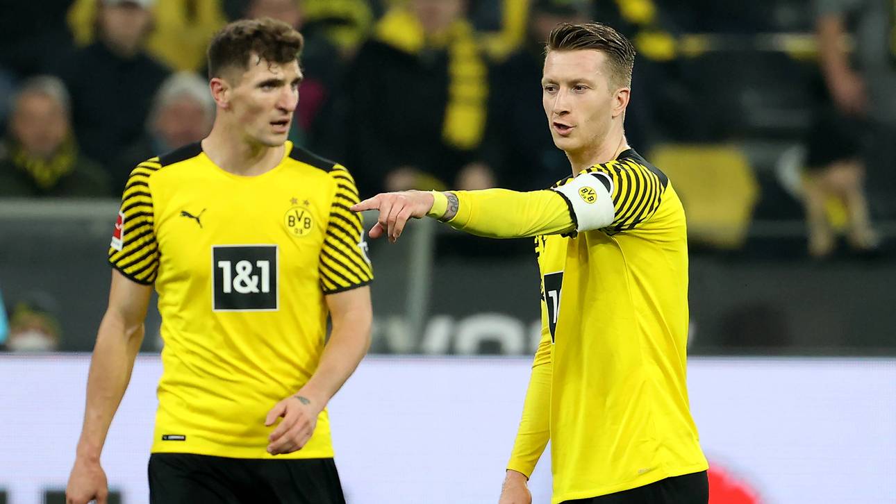So ersetzt Rose Reus und Meunier