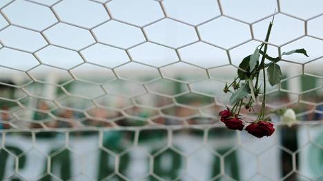 Fans des brasilianischen Erstligisten Chapecoense trauern um ihre Spieler 