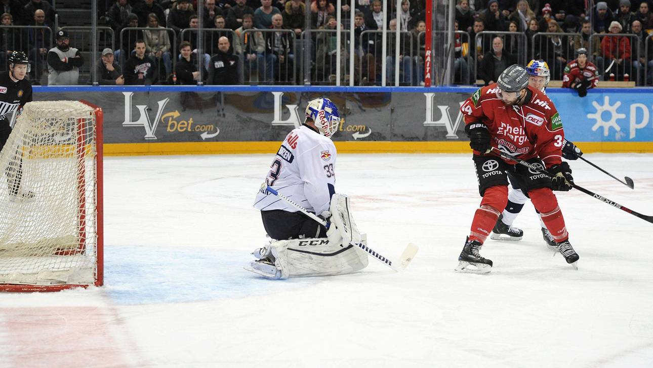 Haie werden zum Fluch für München