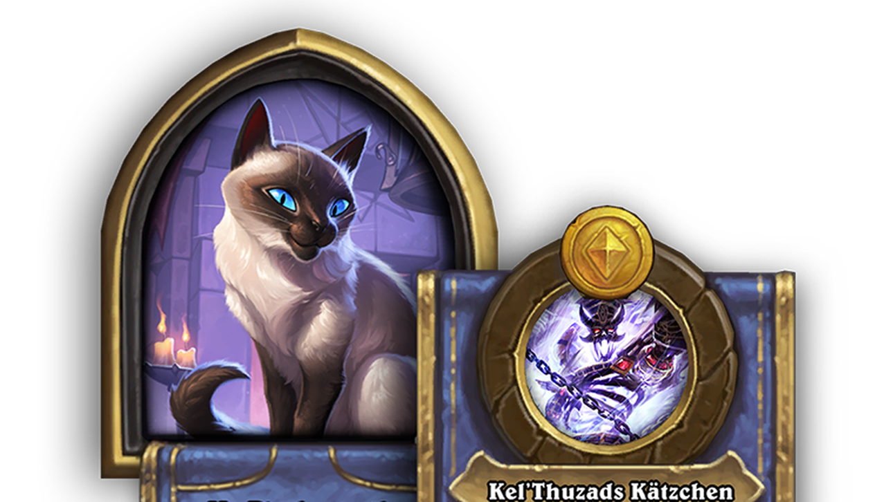 Der neueste Held im Schlachtfeldmodus ist ein Kätzchen