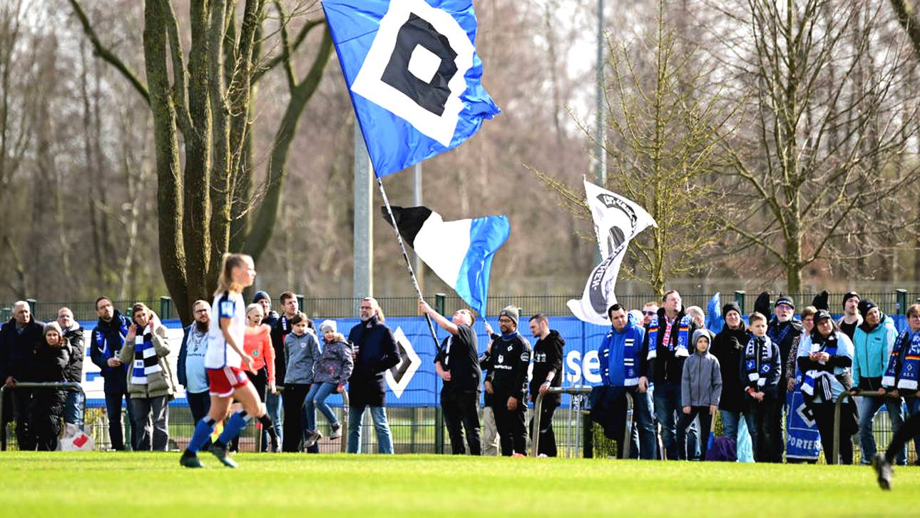 HSV-Reform ist beschlossen