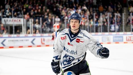 Die Straubing Tigers spielen in der Champions Hockey League 