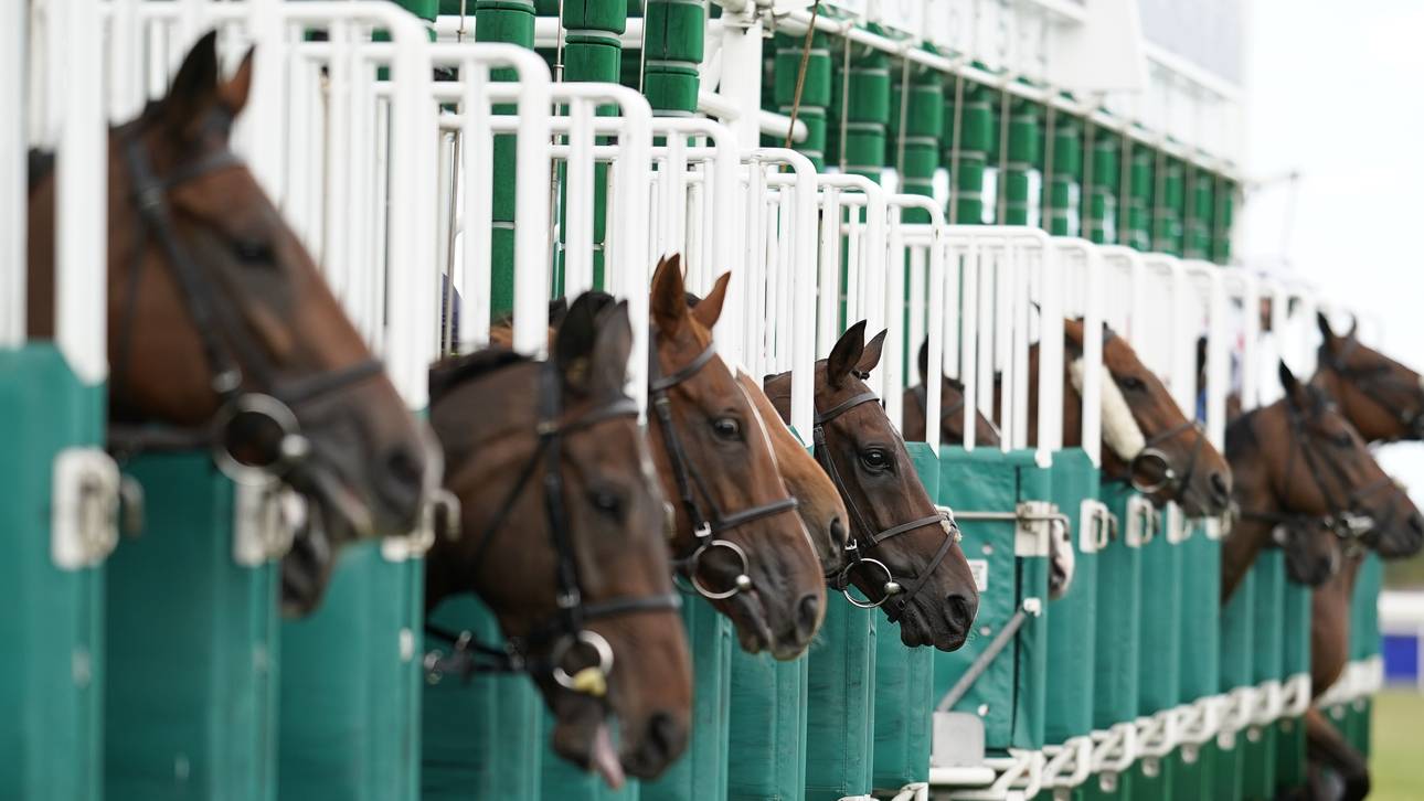 Weltreiterspiele: Zweites Pferd tot