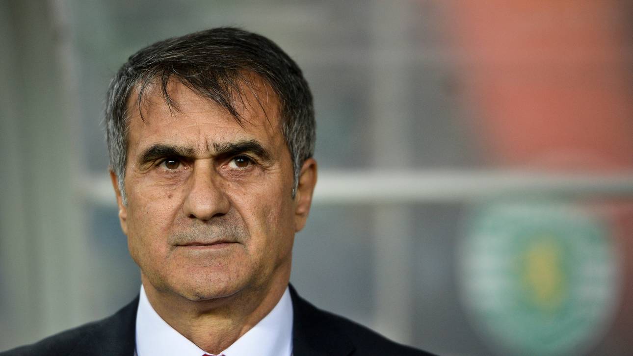 Besiktas-Coach: Gomez ersetzbar