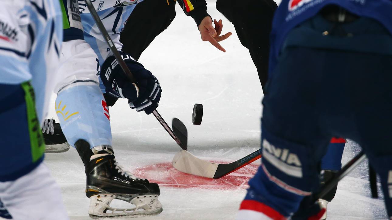Adler kooperieren mit Hoffenheim