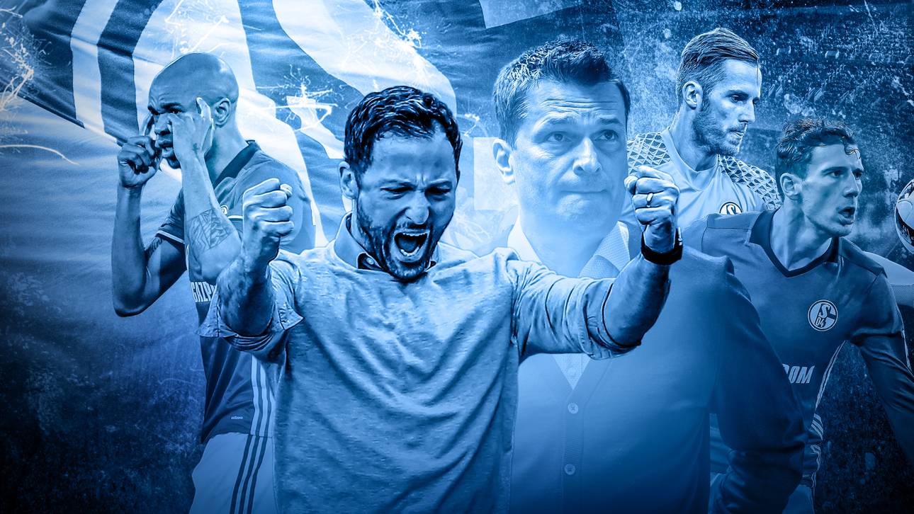 Sieben Gründe für Schalkes Stärke