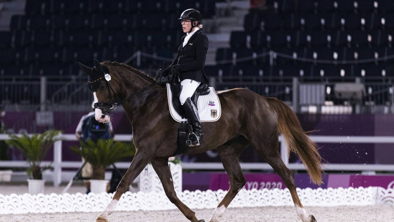Para-Dressursport: Dresing siegt bei Heim-EM