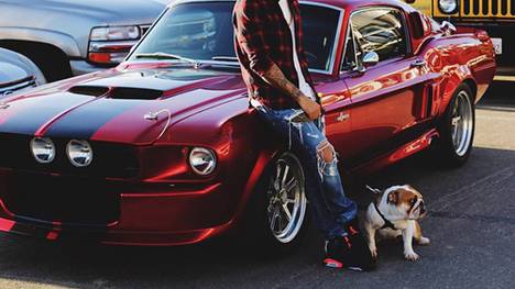 Ein Mann und seine Schätze: Lewis Hamilton mit Hund und Auto.