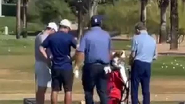 Video aufgetaucht: Irrer Streit zwischen Golf-Stars