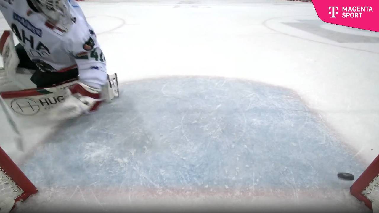 Pinguins Bremerhaven - Augsburger Panther (Highlights)