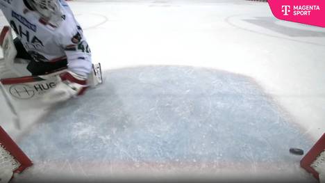 Pinguins Bremerhaven - Augsburger Panther: Tore und Highlights | PENNY DEL