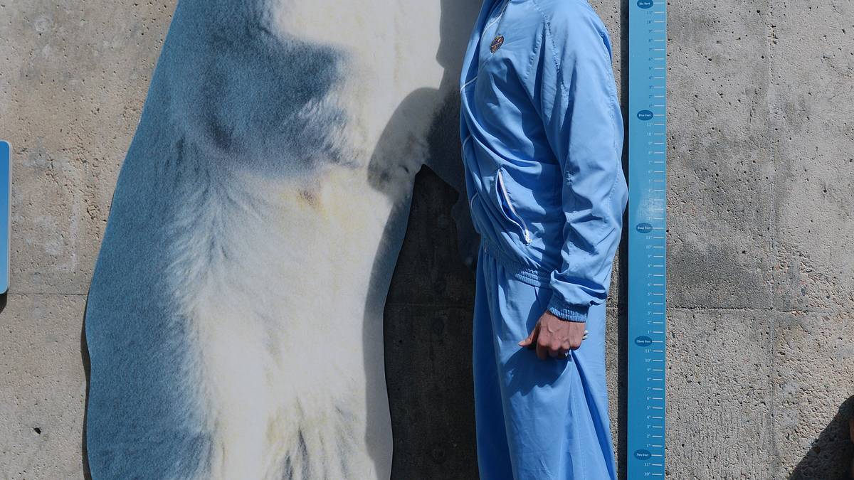 Mit der Spannweite eines Eisbären kann der Italiener aber nicht mithalten