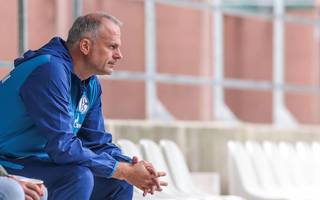 Fussball / Bundesliga