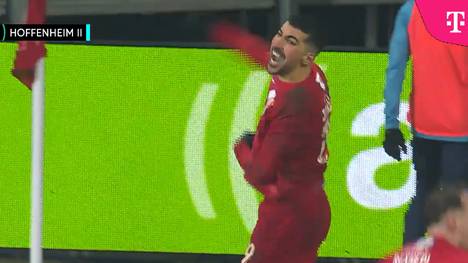 TSV Havelse - TSG Hoffenheim II: Tore und Highlights | 3. Liga