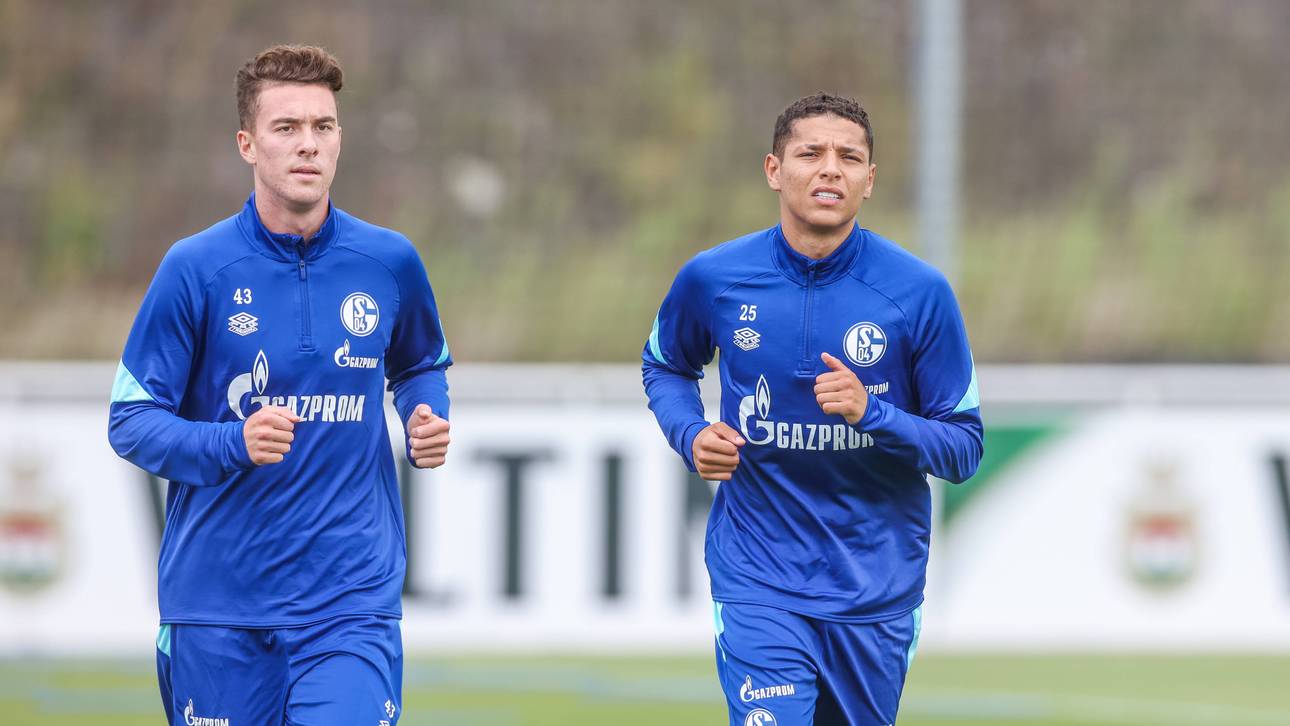 Harit und Hoppe verlassen Schalke