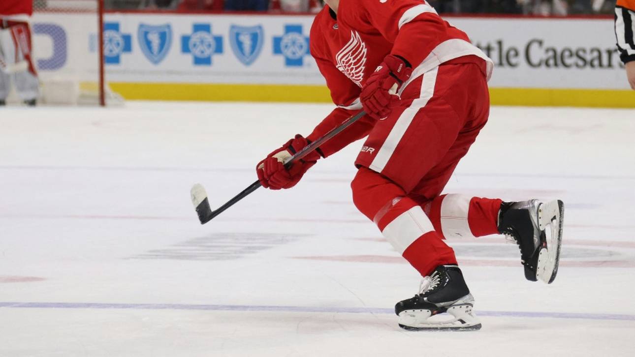 Nächste Klatsche für Seiders Red Wings