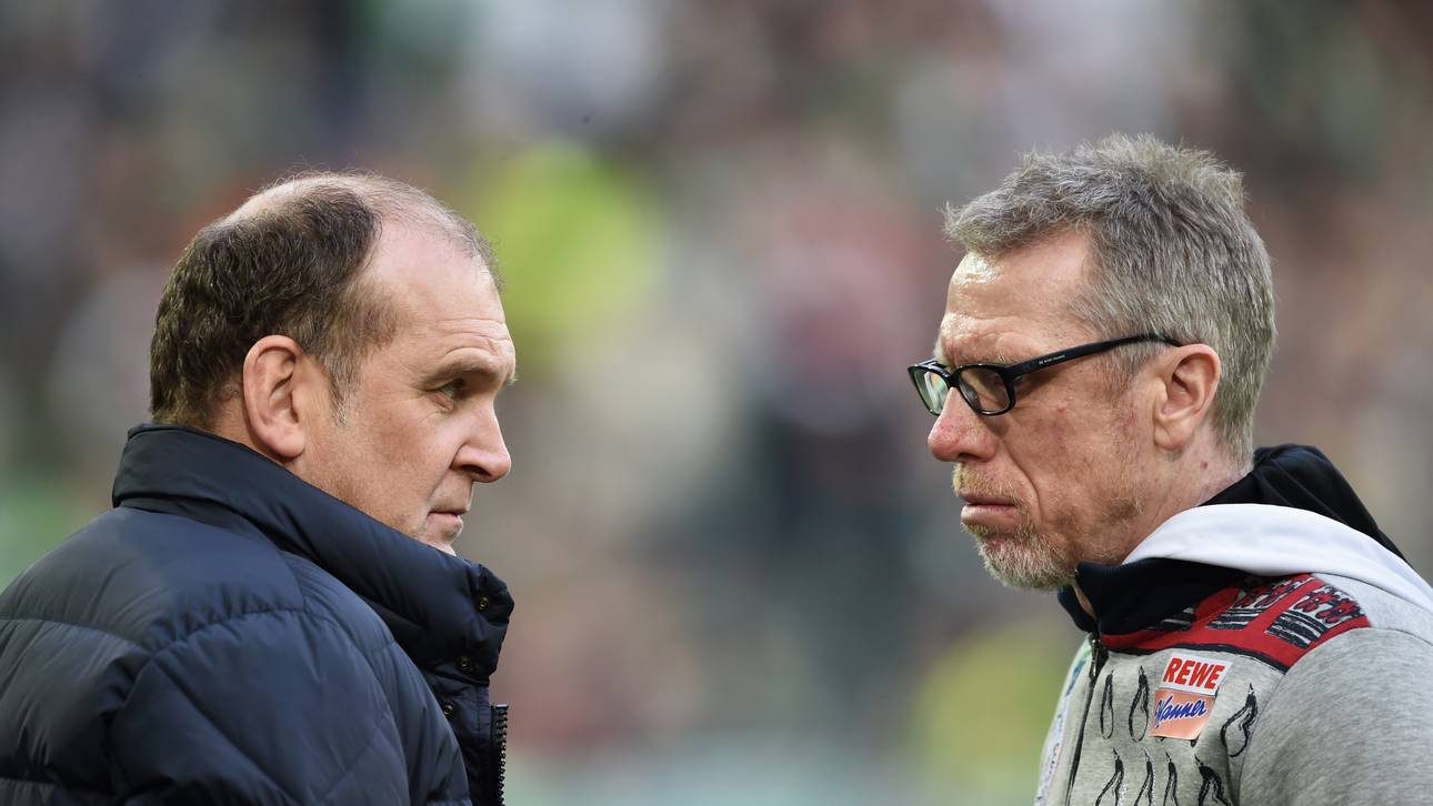 Kölner Vorstand gibt Fehler zu