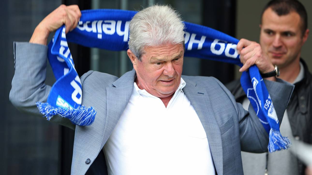 Hopp darf 50+1 Regel umgehen