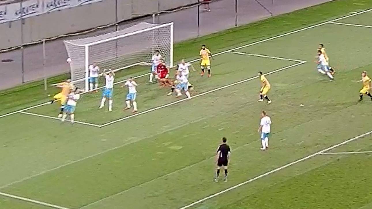 Schalke nur remis gegen Udine