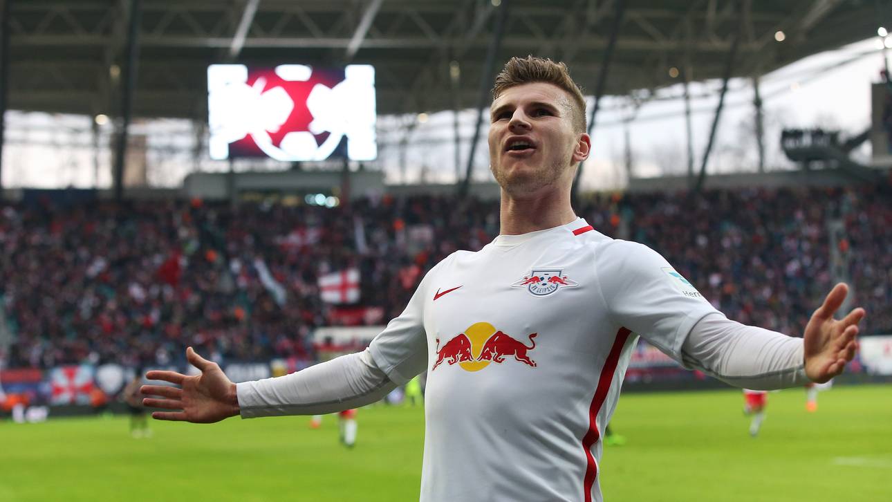 Werner erklärt seinen Karriereplan