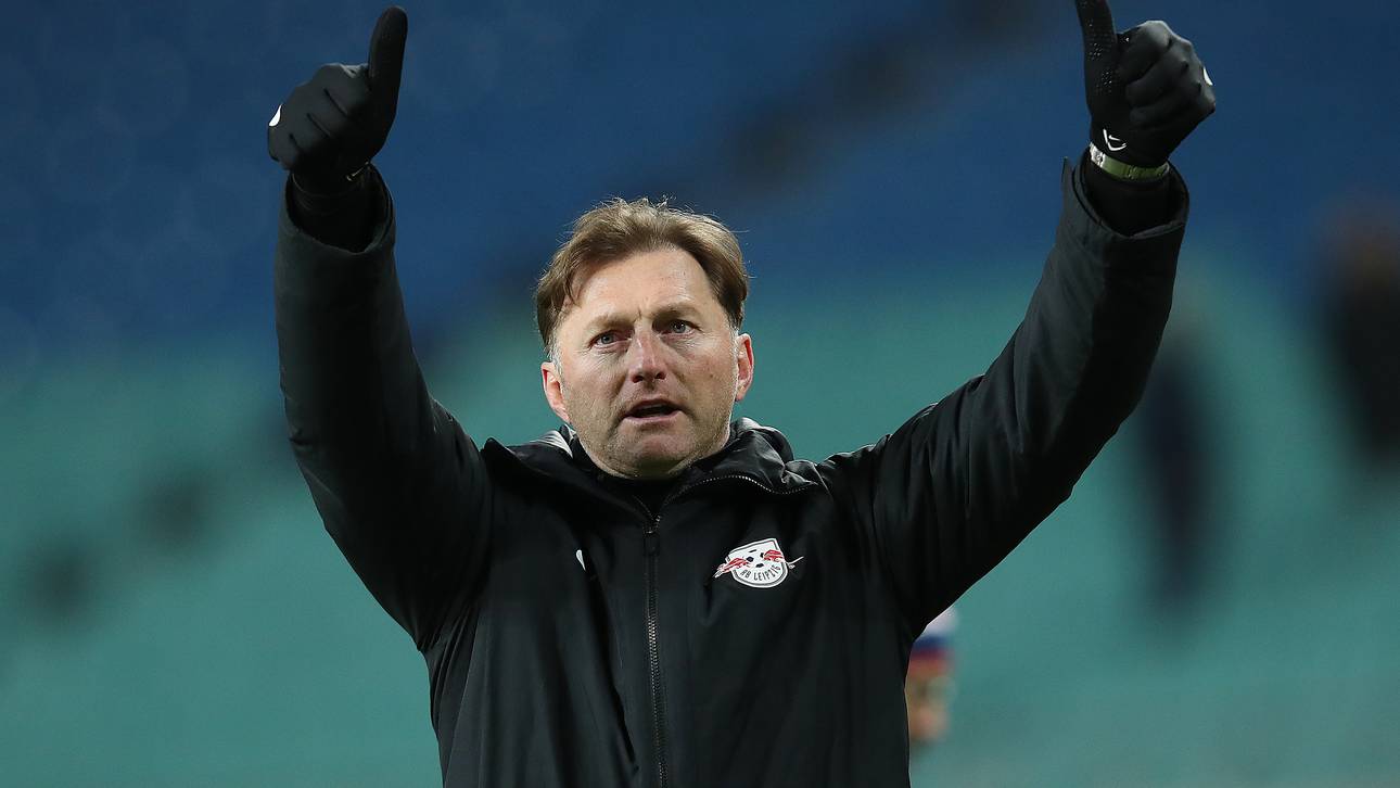 Hasenhüttl reizt Nationaltrainer-Job